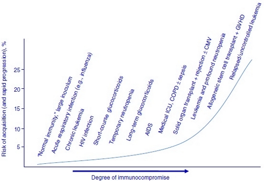 Invasive aspergillosis