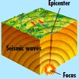 Seismic waves