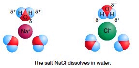 The salt NaCl dissolves in water