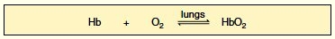 oxygen transport