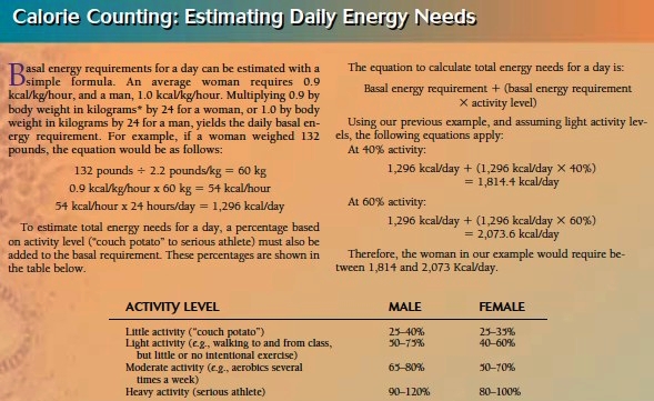 Estimating Daily Energy Needs